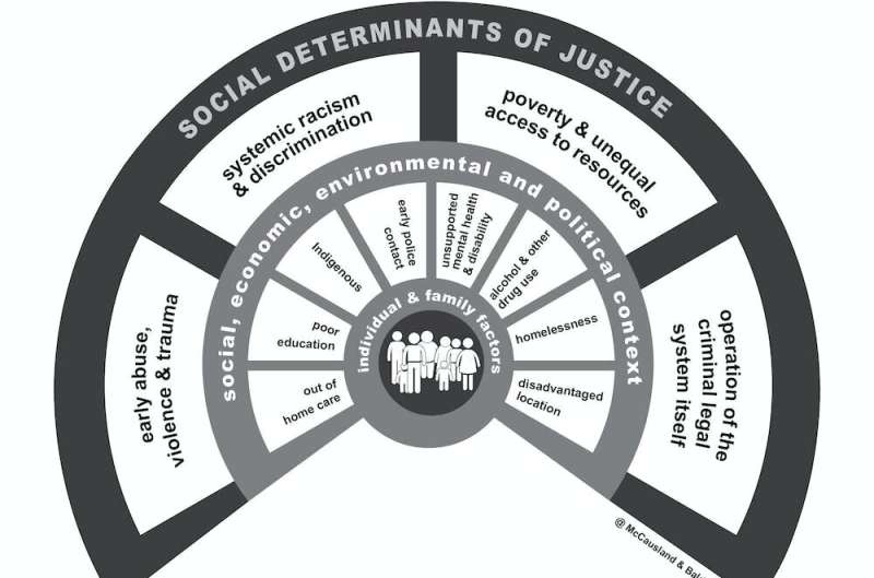 The social determinants of justice: 8 factors that increase your risk of imprisonment