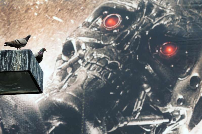 The Stop Killer Robots group has explicitly dismissed the Terminator scenario