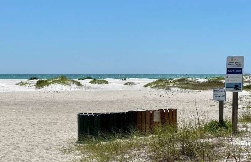 The toxic algae known as the red tide has threatened long stretches of Florida coast, like Lido Beach Key (seen here), off the c
