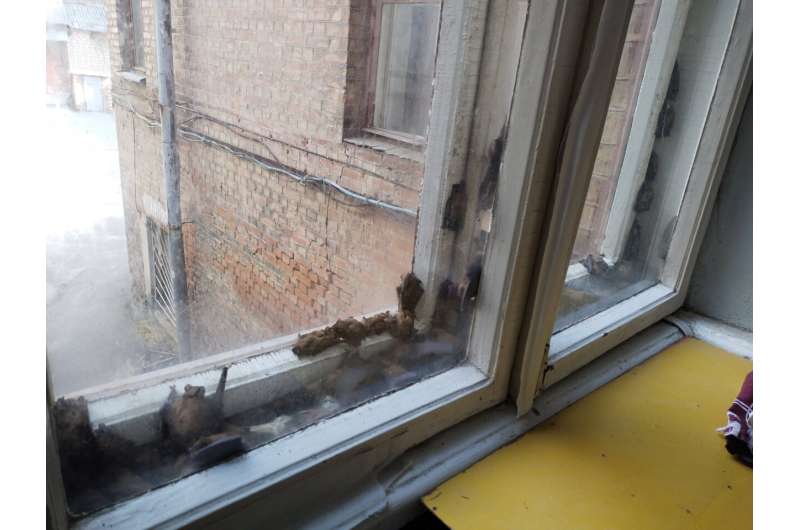 The war-damaged urban environment in Kharkiv is fatal for bats: Loss of roosts and lethal traps in destroyed buildings