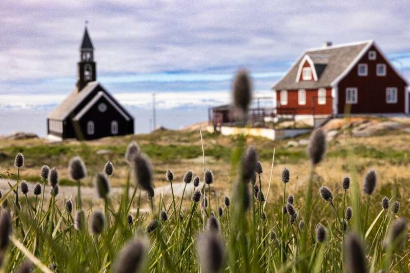 The Zion Church is seen behind wild plants in Ilulissat, western Greenland