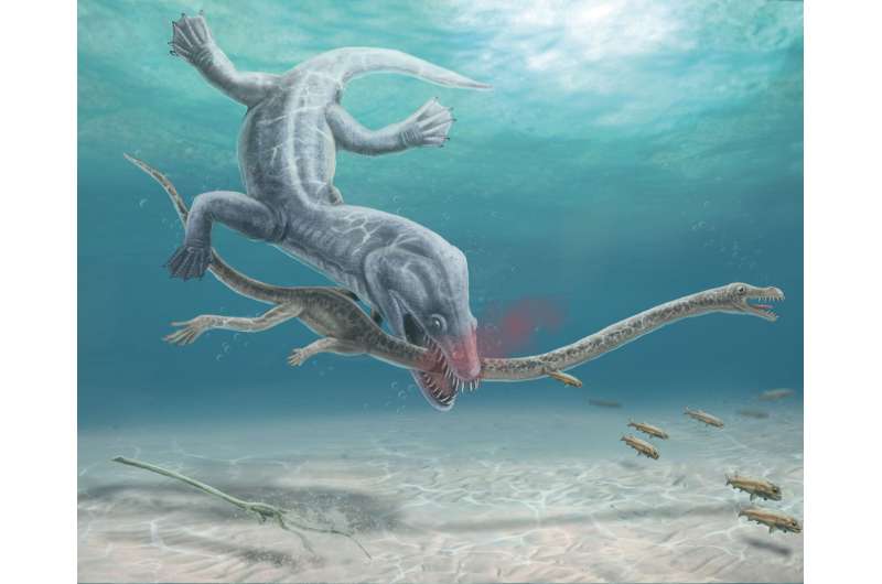 These long-necked reptiles were decapitated by their predators, fossil evidence confirms