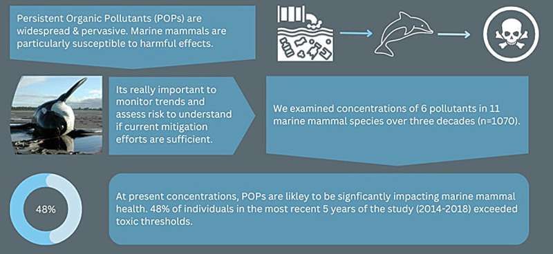 Thirty years of data show persistent organic pollutants remain a threat to marine biodiversity