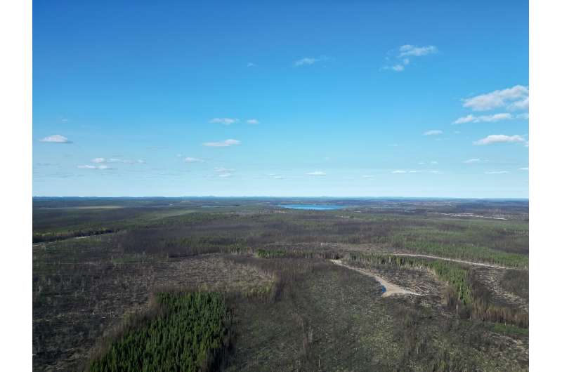 This aerial photo shows burned forest partially harvested by timber companies on the ancestral lands of the Lac-Simon indigenous community, Quebec on September 20, 2023