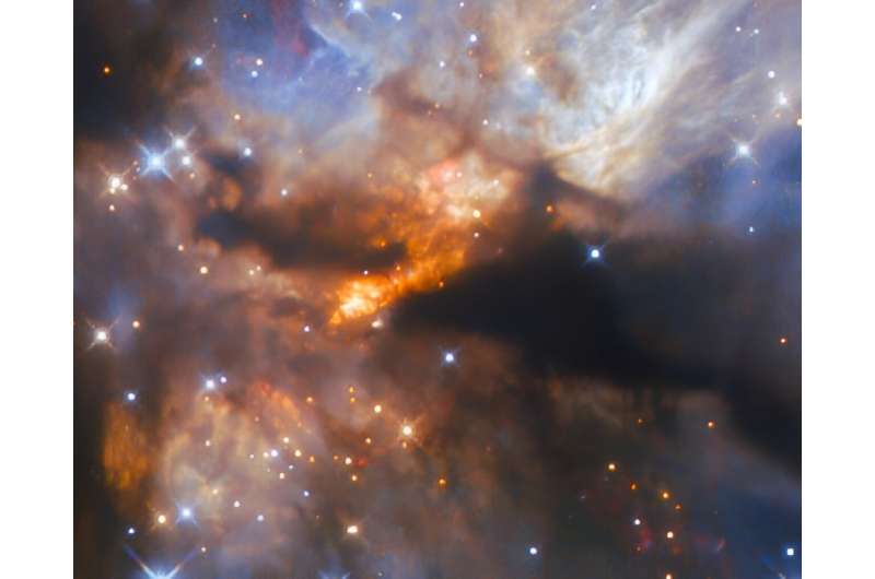 This dark nebula hides an enormous star