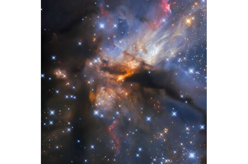 This dark nebula hides an enormous star