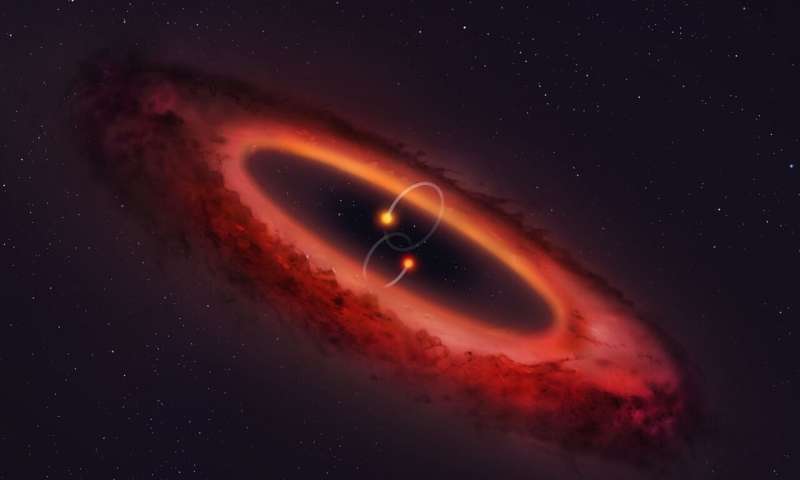 This is a first: an exoplanet in a polar circumbinary disc surrounding two stars.