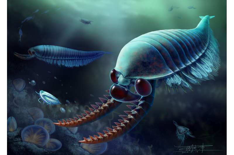 Three-eyed distant relative of insects and crustaceans reveals amazing detail of early animal evolution