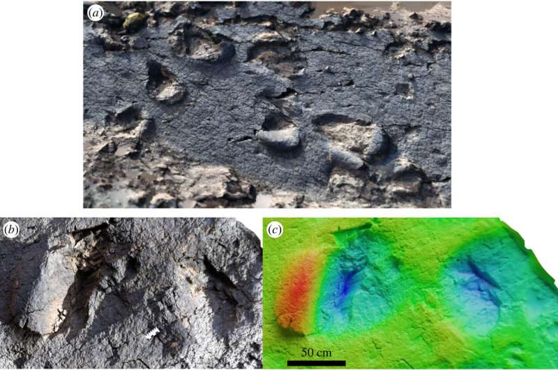 Three new Jurassic-era dinosaur track sites found in Morocco
