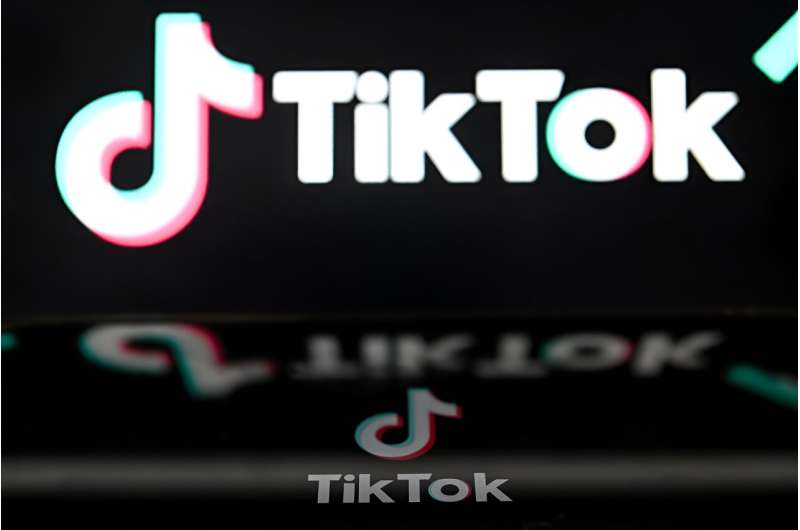 TikTok is facing intense scrutiny across the world due to privacy and security concerns