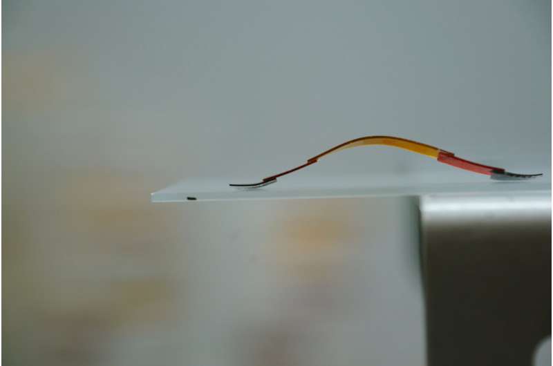 Tiny new climbing robot was inspired by geckos and inchworms