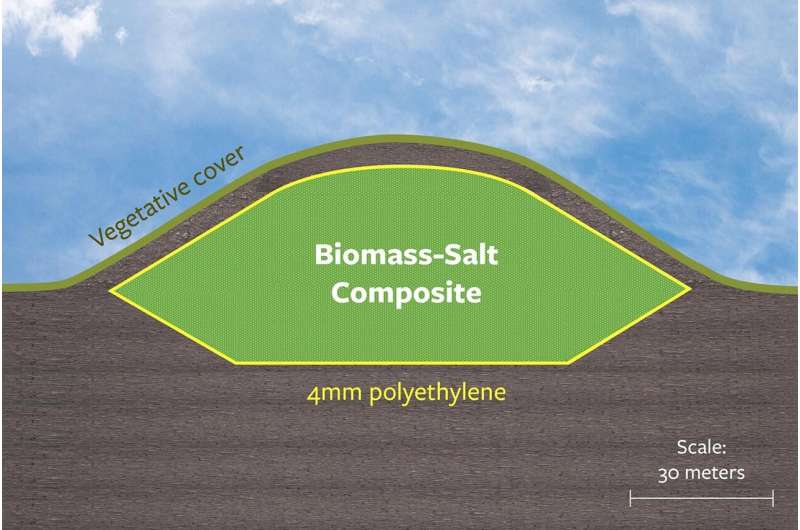 To more effectively sequester biomass and carbon, just add salt
