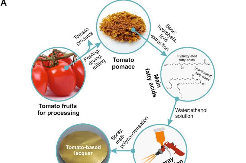 Tomato-residue-based lacquers to coat the inside of cans and food packaging
