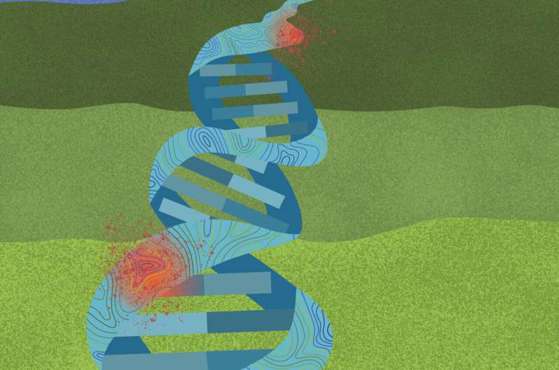 Topography of the genome influences where cancer mutations thrive, study shows