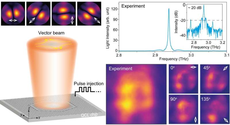 Topological bulk BICs enable compact, single-mode, and beam-engineered QCLs