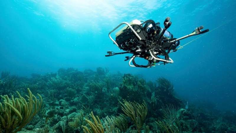 Researchers suggest a brand new technology-centered focus to review and preserve coral reefs