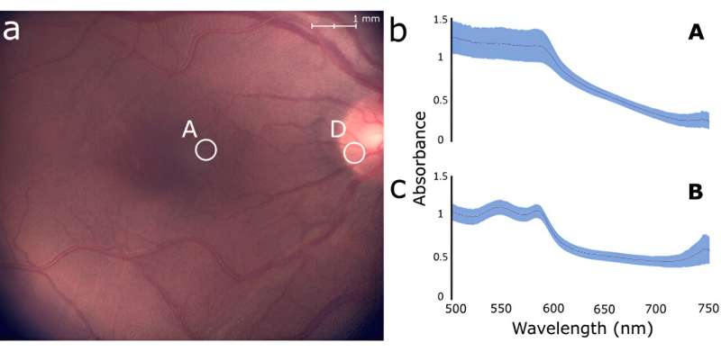 Toward more precise and flexible targeted spectroscopy measurements in the retina