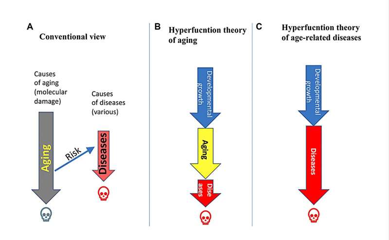 Towards disease-oriented dosing of rapamycin for longevity