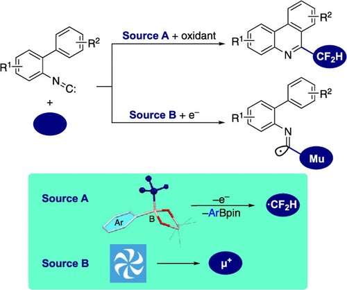 Towards synthesis of phenanthridine-based pharmaceutical compounds