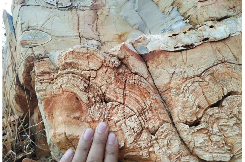 Tracing Earth's past in prehistoric rock deposits 
