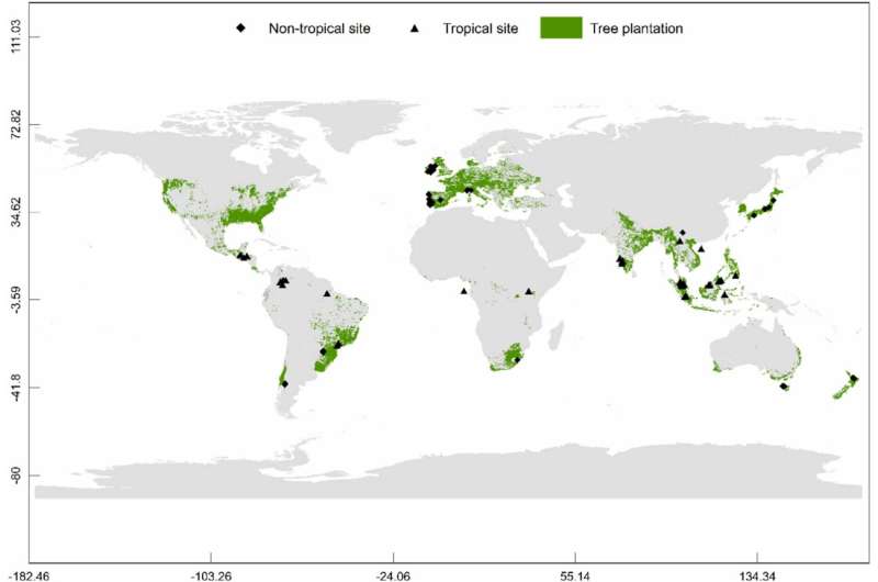 Tree plantations can get better with age, but original habitats are best