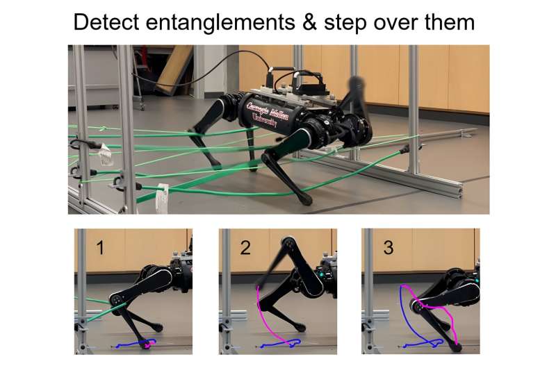 Emaranhados complicados: robôs aprendem a navegar pela vegetação semelhante a trepadeiras
