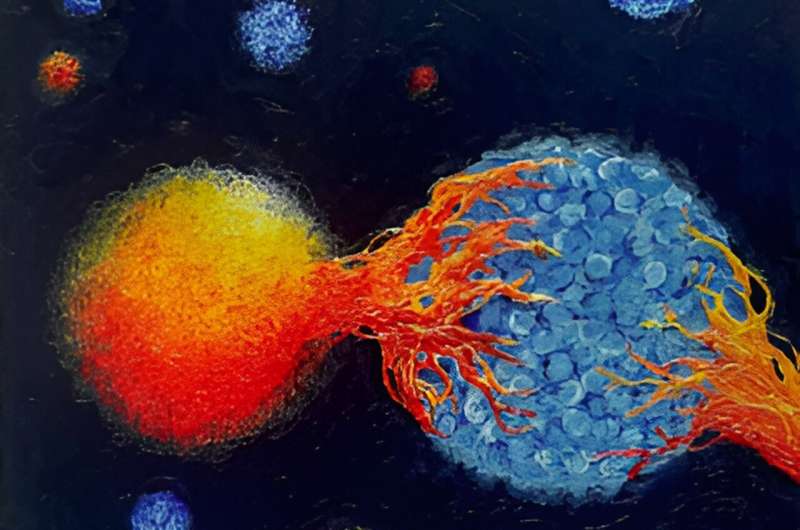 Antígenos tumorais são essenciais para melhorar a imunoterapia contra o câncer: estudo