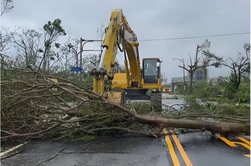 Typhoon Haikui toppled hundreds of trees as it crossed Taiwan