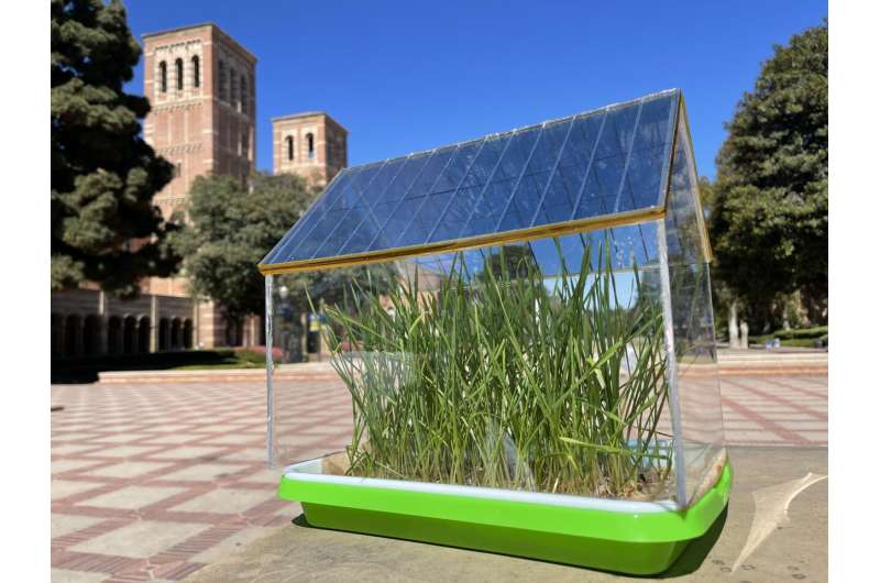 UCLA engineers design solar roofs to harvest energy for greenhouses