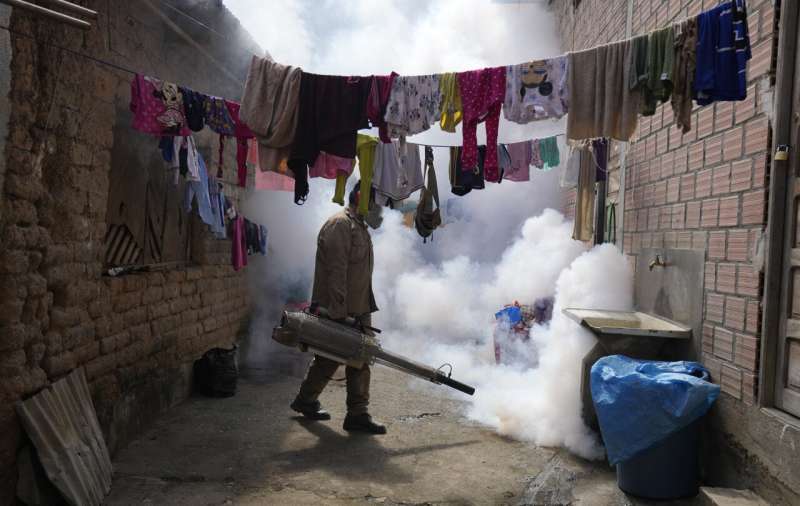 UN health agency cites tenfold increase in reported cases of dengue over the last generation