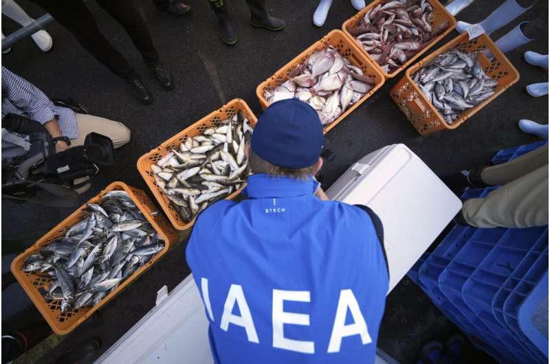 UN nuclear agency team watches Japanese lab workers prepare fish samples from damaged nuclear plant