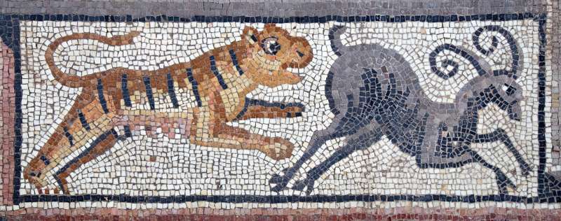 UNC-Chapel Hill-led archaeological dig in Galilee uncovers mosaics of Samson and commemorative inscriptions