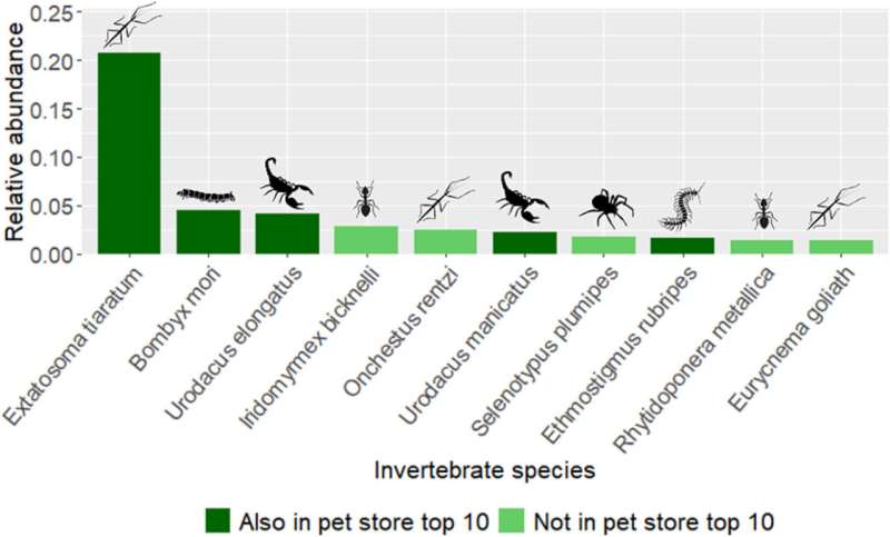 Uncovering online sales of Australian invertebrates