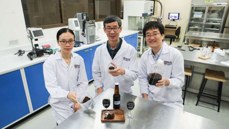 Uncovering the potential health benefits of alcoholic beverages derived from spent coffee grounds