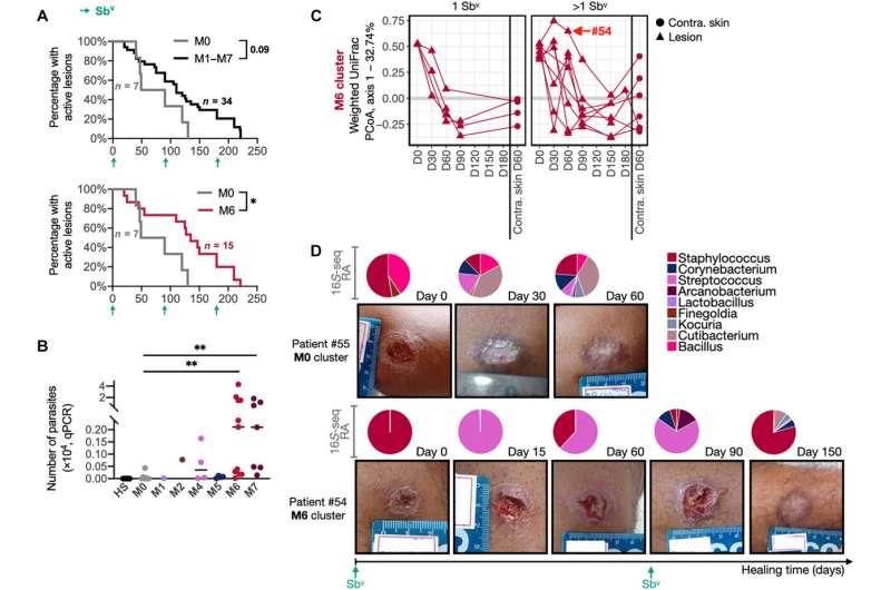 Uncovering the role of skin microbiome and immune response in cutaneous leishmaniasis