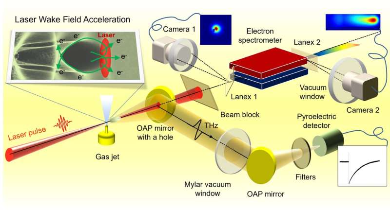 Understanding laser accelerated electron radiation through terahertz emissions