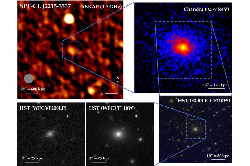 Unexpectedly Calm and Remote Galaxy Cluster Discovered