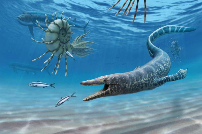 UNF professor &amp; Bureau of Land Management team discover ancient marine reptile fossil, publish ground-breaking evolutionary 