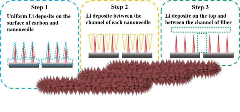 Uniform bottom-up Li deposition behavior in nanoneedle arrays on modified three–dimensional carbon film