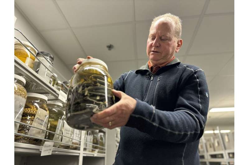 University of Michigan slithers toward history with massive acquisition of jarred snake specimens