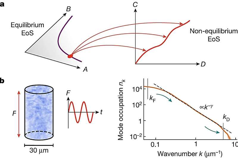 Unlocking chaos: Ultracold quantum gas reveals insights into wave turbulence