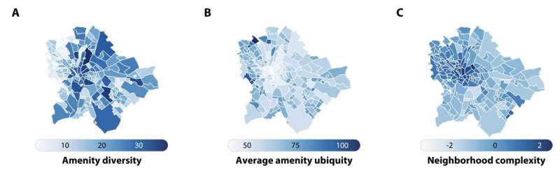 Unlocking urban diversity: The magnetism of complex amenities