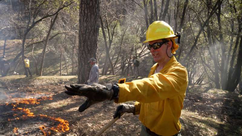 Unprecedented levels of high-severity fire burn in Sierra Nevada