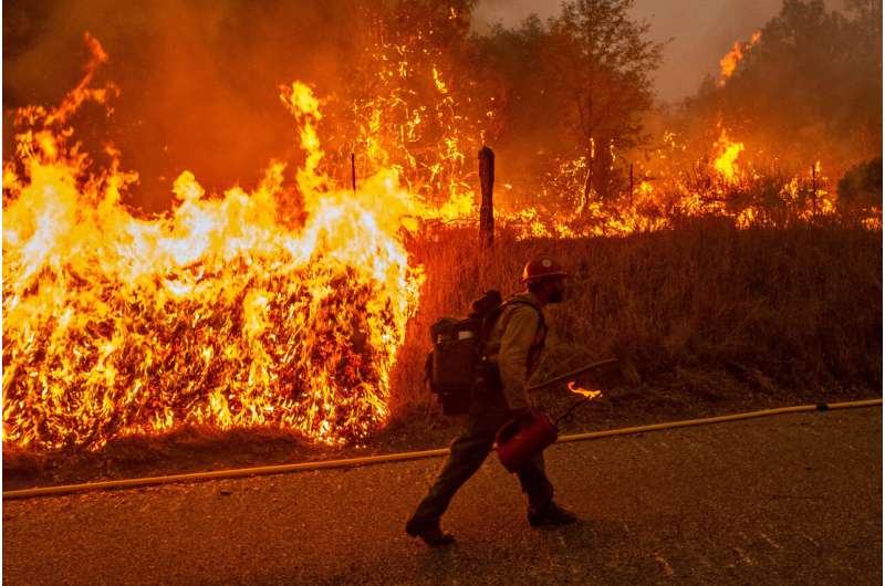 Unprecedented levels of high-severity fire burn in Sierra Nevada