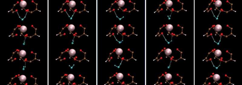 Unravelling the water dynamics and structure of water-coordinated metal complexes