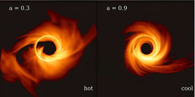 Unveiling black hole spins using polarized radio glasses