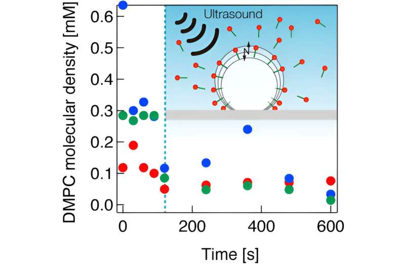 Unveiling the science of ultrasound-driven microbubble desorption