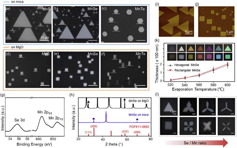 Unveiling the singular symmetry in facet-engineered 2D materials growth