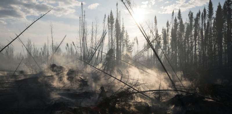 Up in smoke: Human activities are fueling wildfires that burn essential carbon-sequestering peatlands