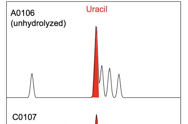 Uracil found in Ryugu samples